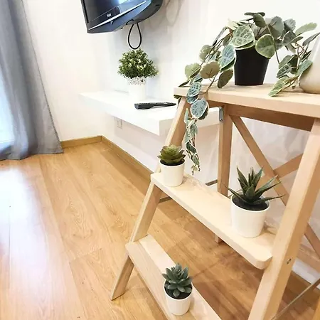 Music House - Centro